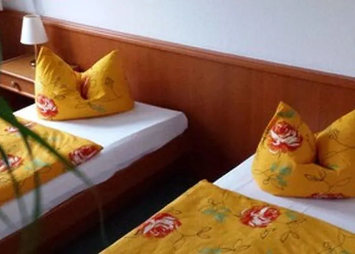 Alter Weber מלון