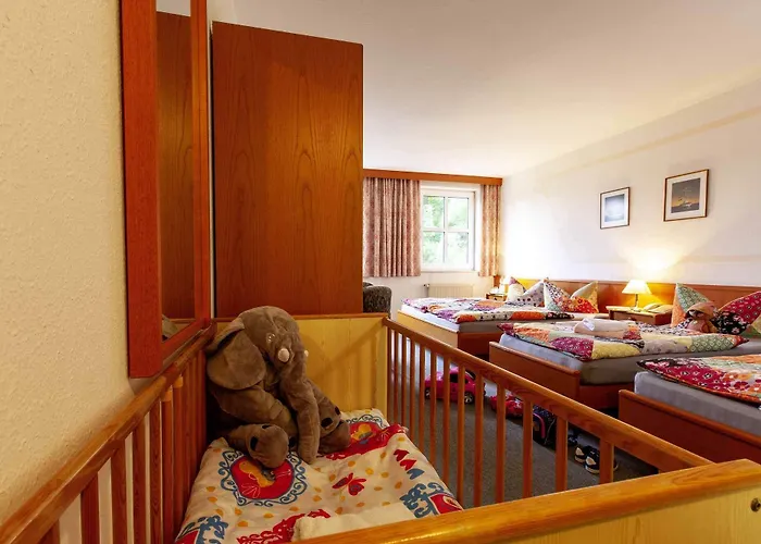 Alter Weber מלון 2*